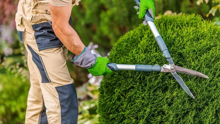 8 Best Stable Trimmers for Precision Gardening and Woodworking Tasks